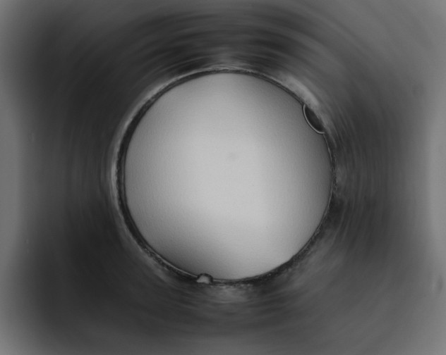 X0000092050947200710031040