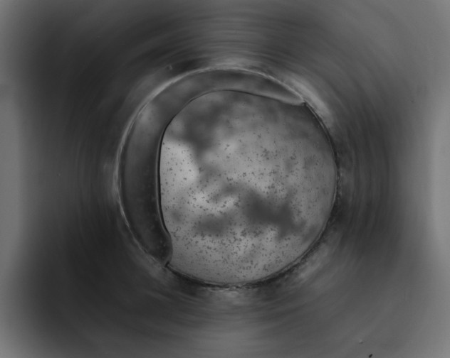 X0000092050948200710031040