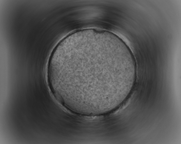 X0000092050949200710031040