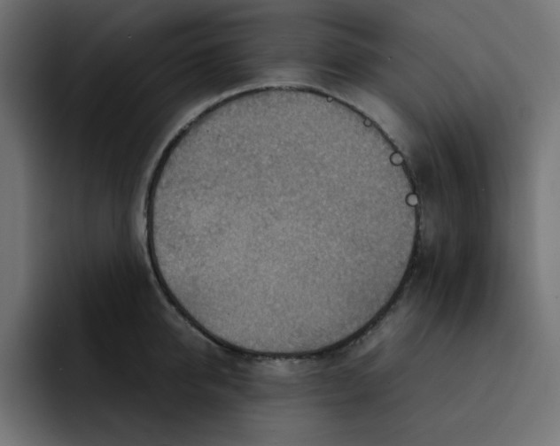 X0000092050950200710031040