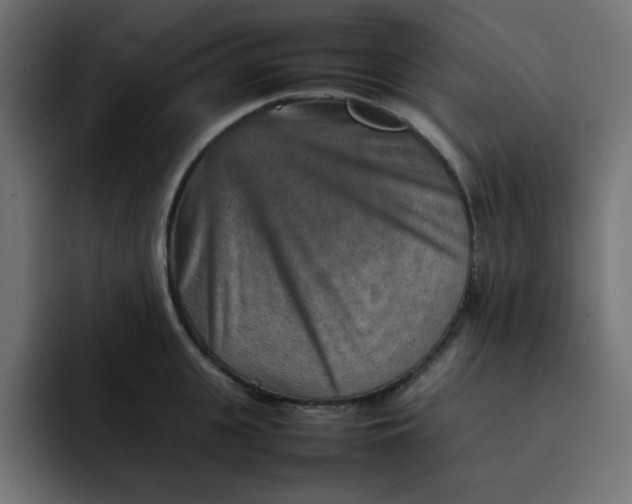 X0000092050951200710031040