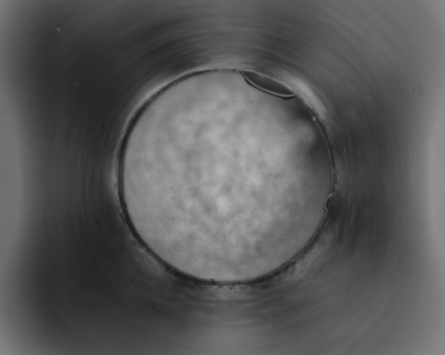 X0000092050952200710031040