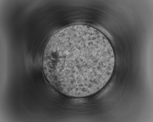 X0000092050953200710031040