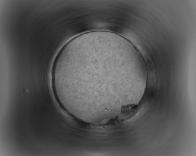 X0000092050955200710031040