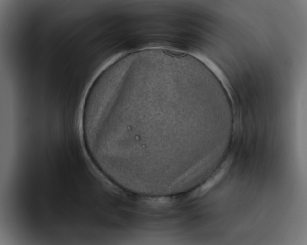 X0000092050957200710031040