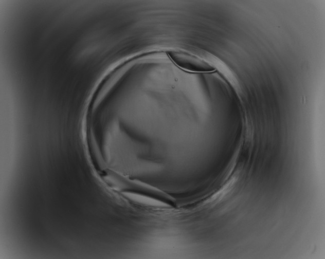 X0000092050958200710031040