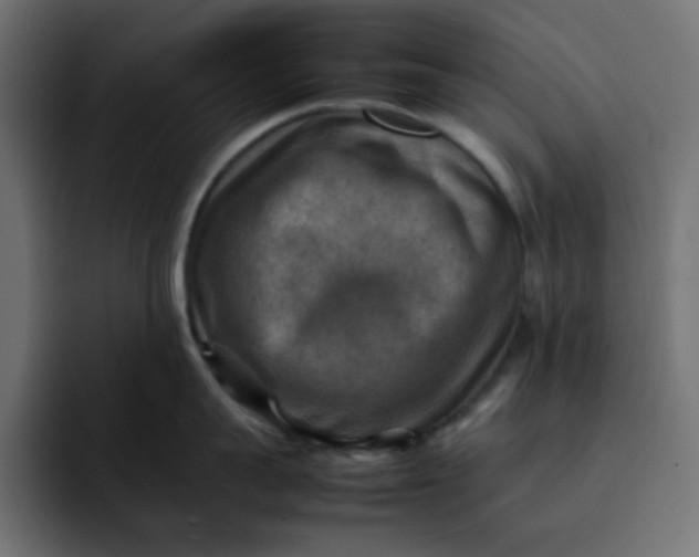 X0000092050959200710031040