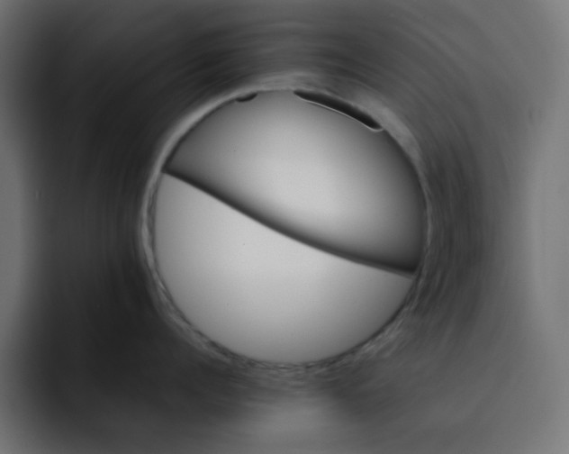 X0000092050960200710031040