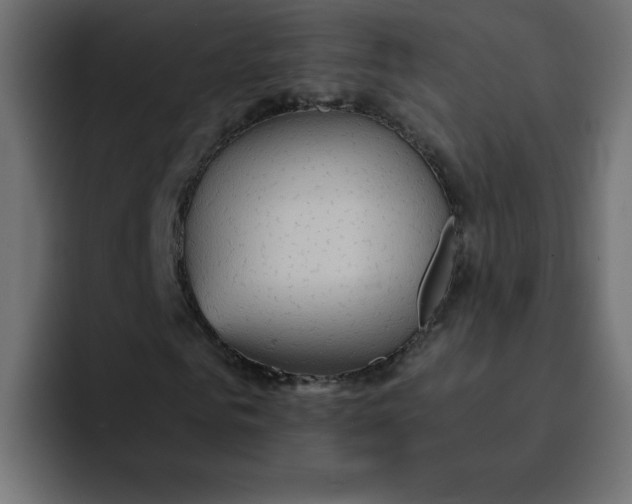 X0000092050961200710031039