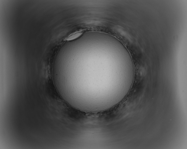 X0000092050965200710031039