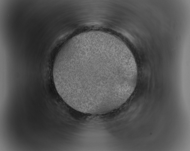 X0000092050967200710031039