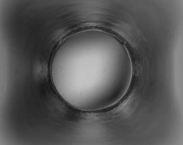 X0000092050969200710031039