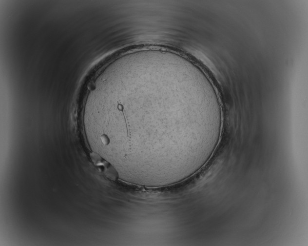 X0000092050971200710031039