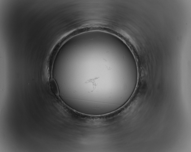 X0000092050973200710031039