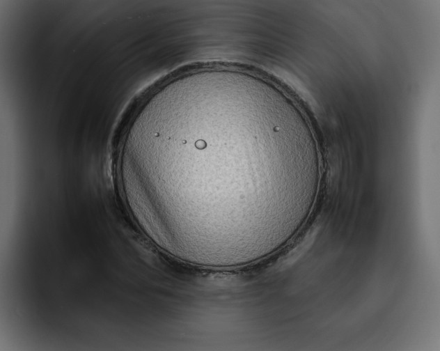 X0000092050974200710031039