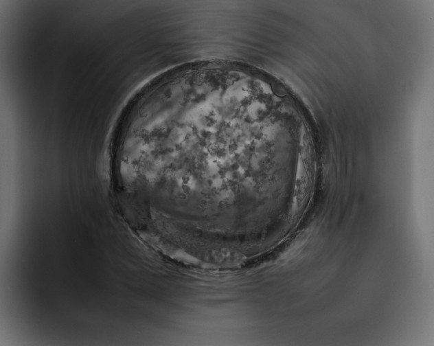 X0000092050975200710031039