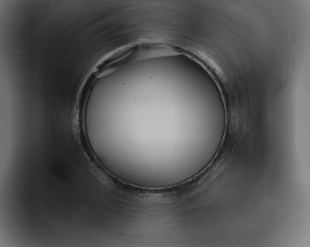 X0000092050976200710031039