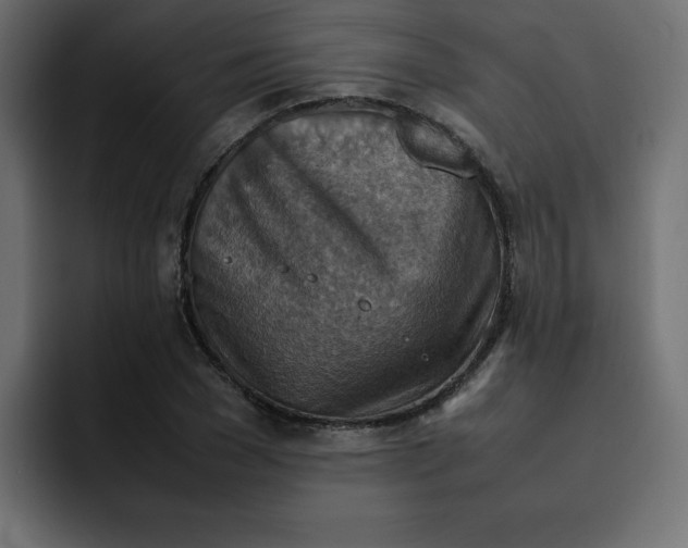 X0000092050977200710031039