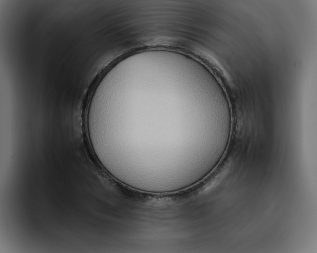 X0000092050978200710031039