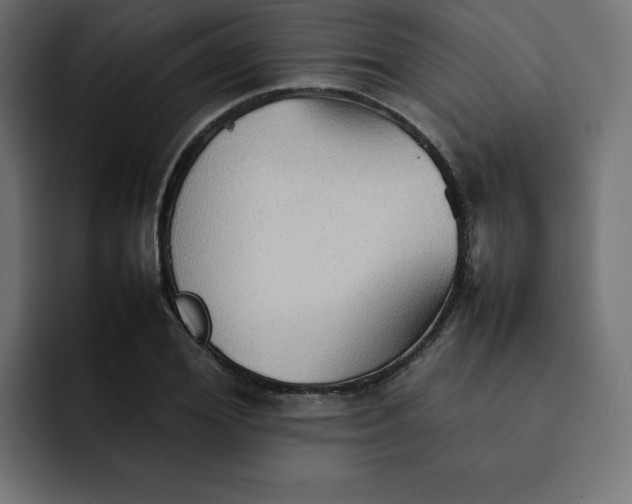 X0000092050980200710031039