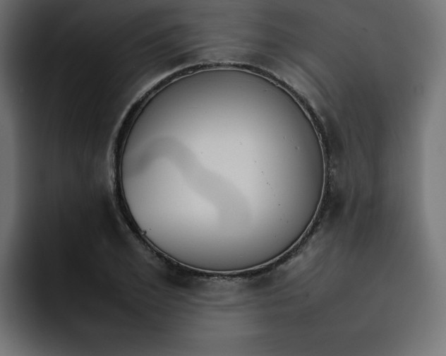 X0000092050981200710031039