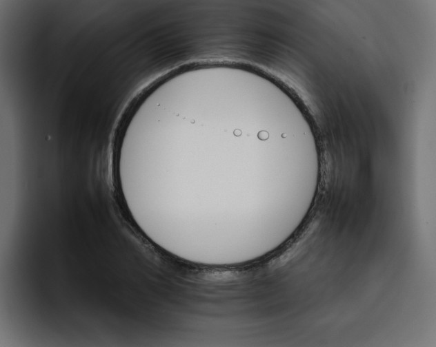 X0000092050982200710031039