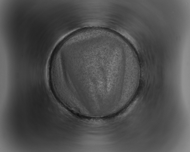 X0000092050983200710031039