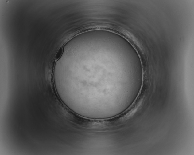 X0000092050985200710031039