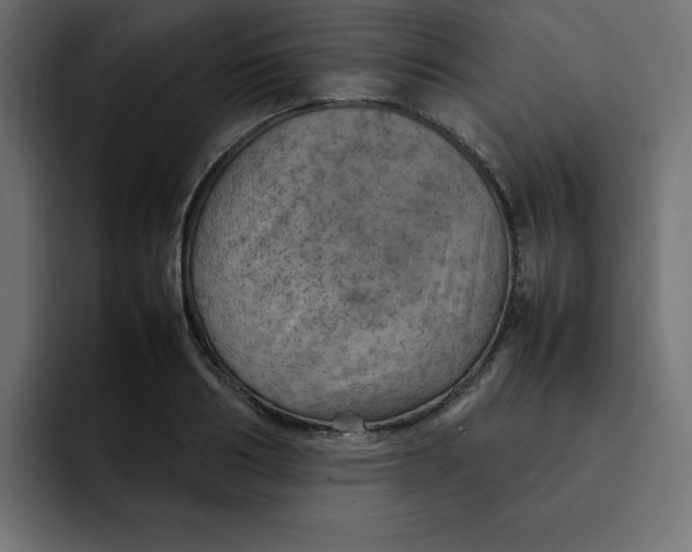 X0000092050986200710031039