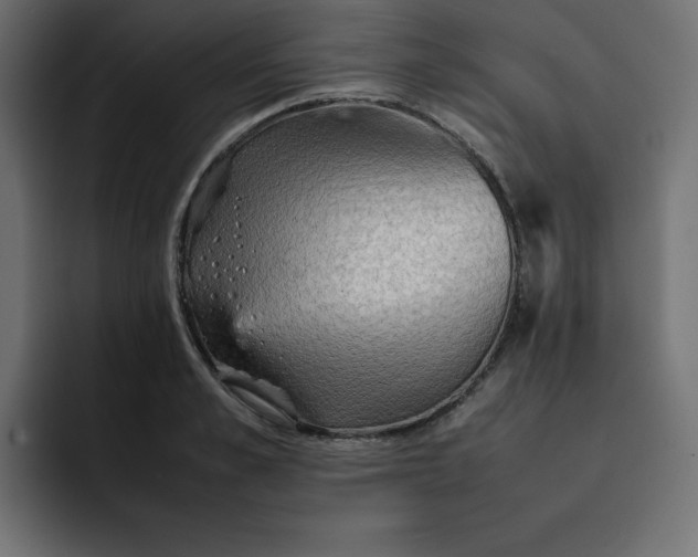 X0000092050989200710031039