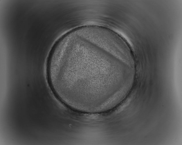 X0000092050991200710031039