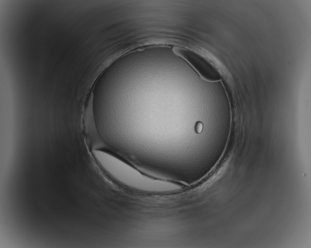 X0000092050993200710031039