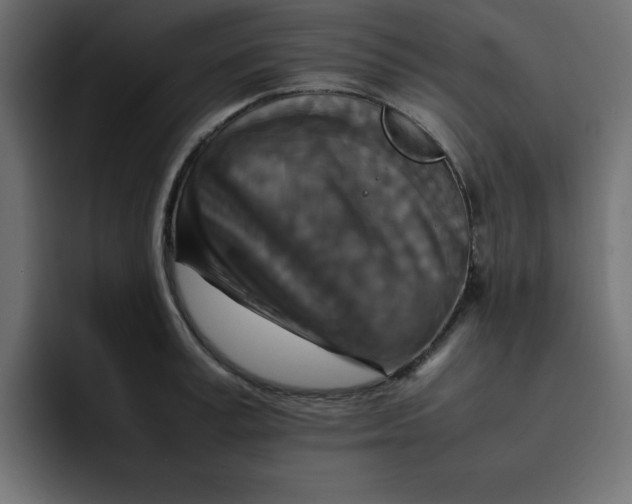 X0000092050995200710031039