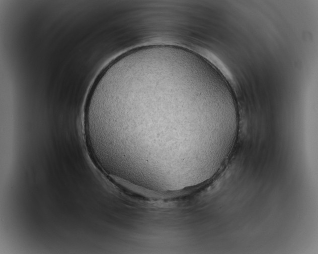 X0000092050996200710031039