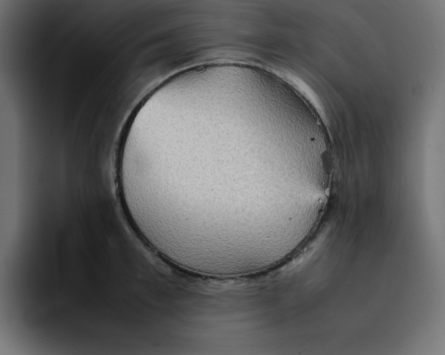 X0000092050997200710031039