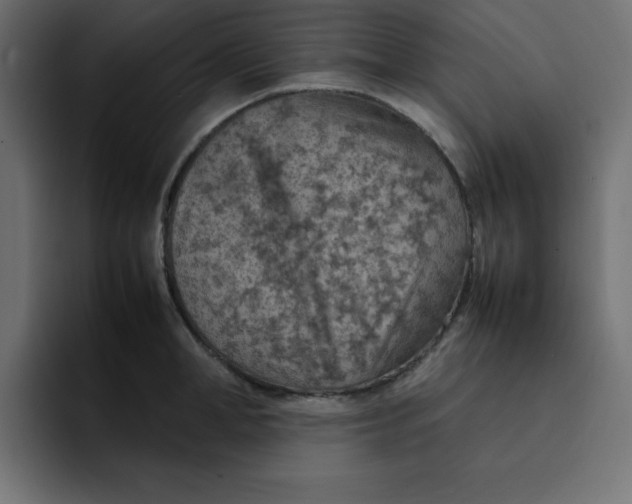 X0000092050998200710031039