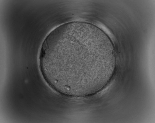 X0000092050999200710031039