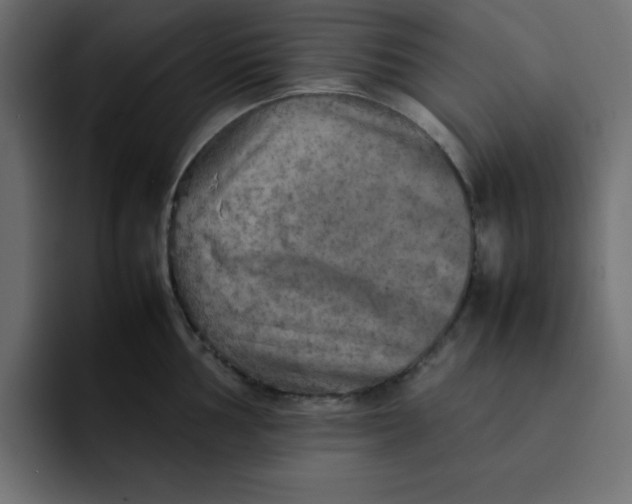 X0000092051002200710031039