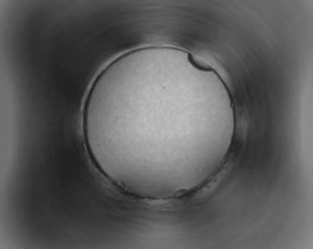 X0000092051004200710031039