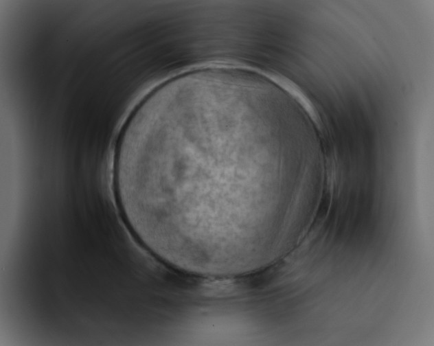 X0000092051006200710031039