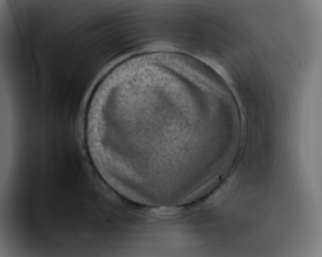 X0000092051008200710031039