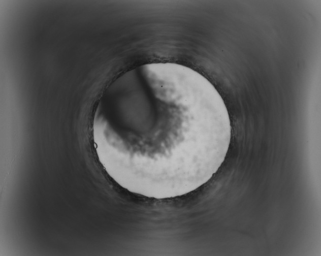 X0000092051009200710031038