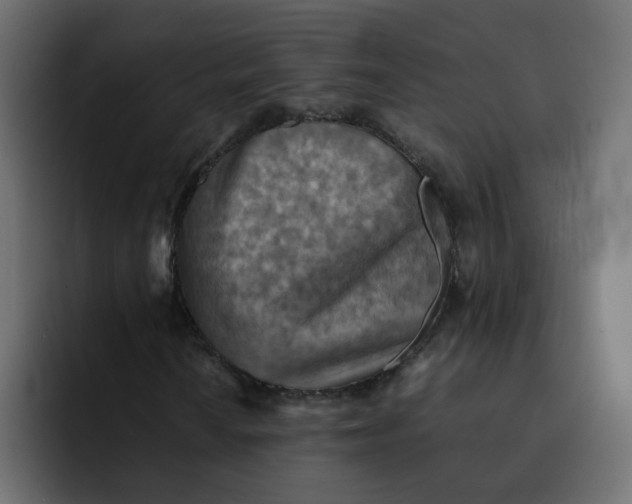 X0000092051010200710031038