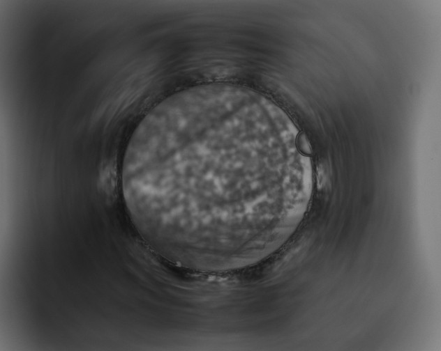 X0000092051011200710031038