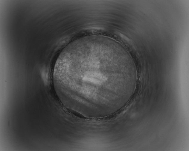 X0000092051014200710031038