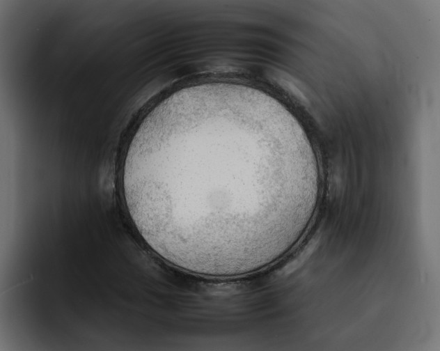 X0000092051017200710031038