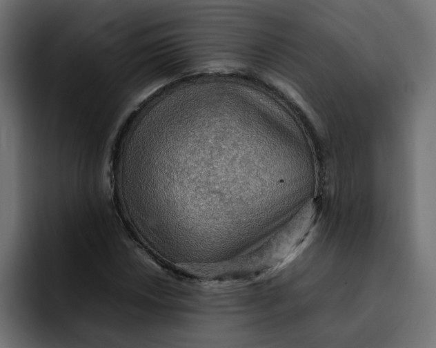 X0000092051018200710031038