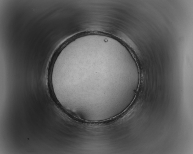 X0000092051020200710031039