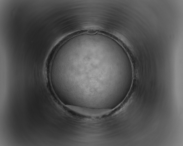 X0000092051022200710031039