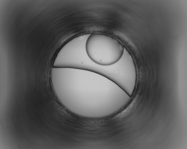 X0000092051025200710031039